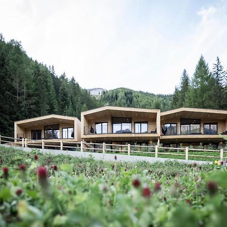 Stelza Nature Chalet Валь-ди-Вицце Экстерьер фото