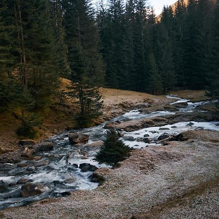 Stelza Nature Chalet Валь-ди-Вицце Экстерьер фото