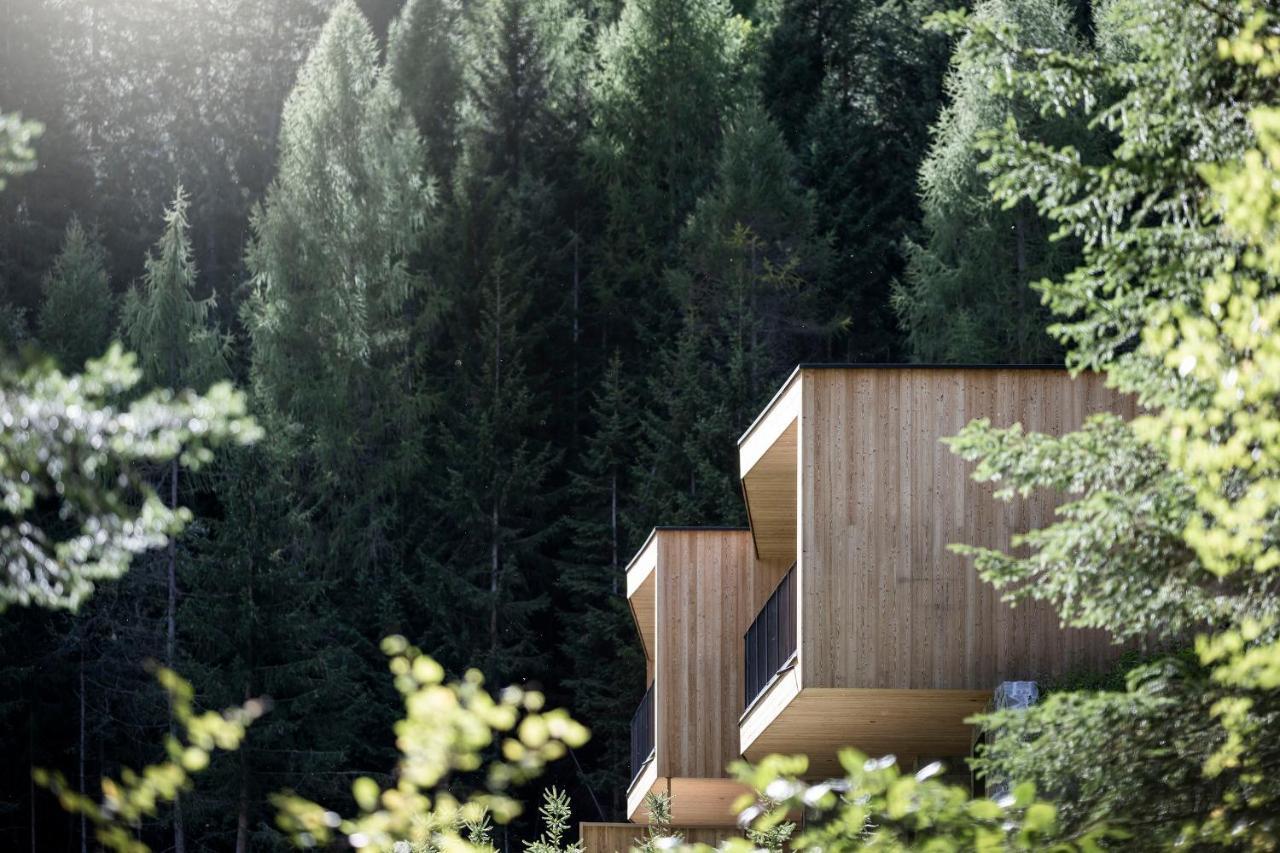 Stelza Nature Chalet Валь-ди-Вицце Экстерьер фото