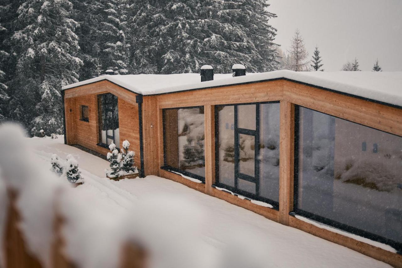 Stelza Nature Chalet Валь-ди-Вицце Экстерьер фото