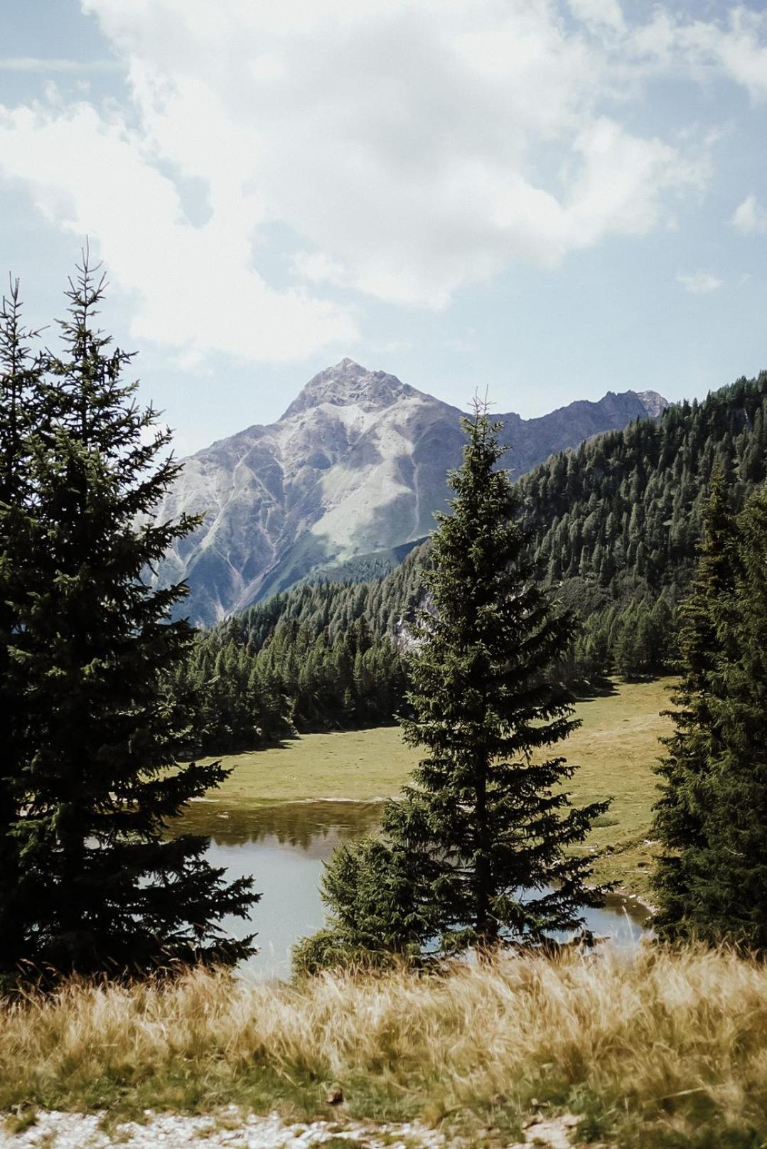 Stelza Nature Chalet Валь-ди-Вицце Экстерьер фото