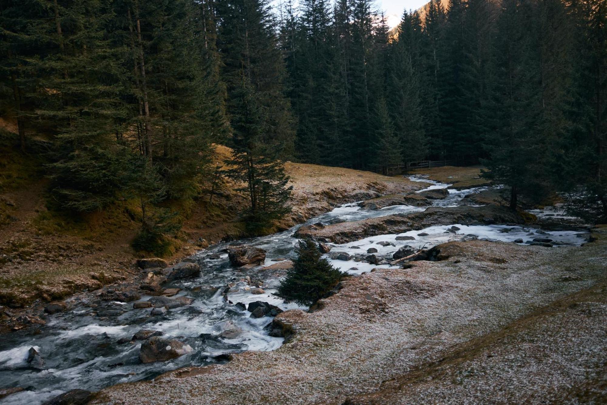 Stelza Nature Chalet Валь-ди-Вицце Экстерьер фото